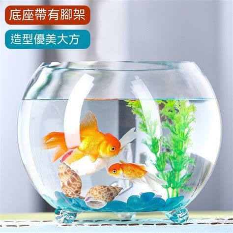 圓形缸 養魚